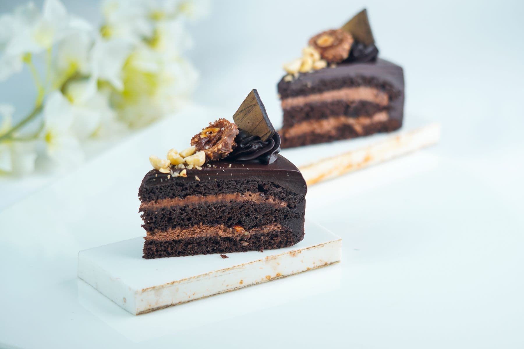 Two layered chocolate cake slices finished with hazelnut and dark ganache