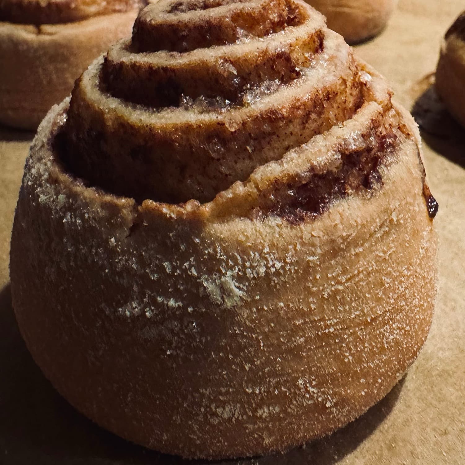 A sugar-dusted cinnamon bun, still warm, in close macro detail