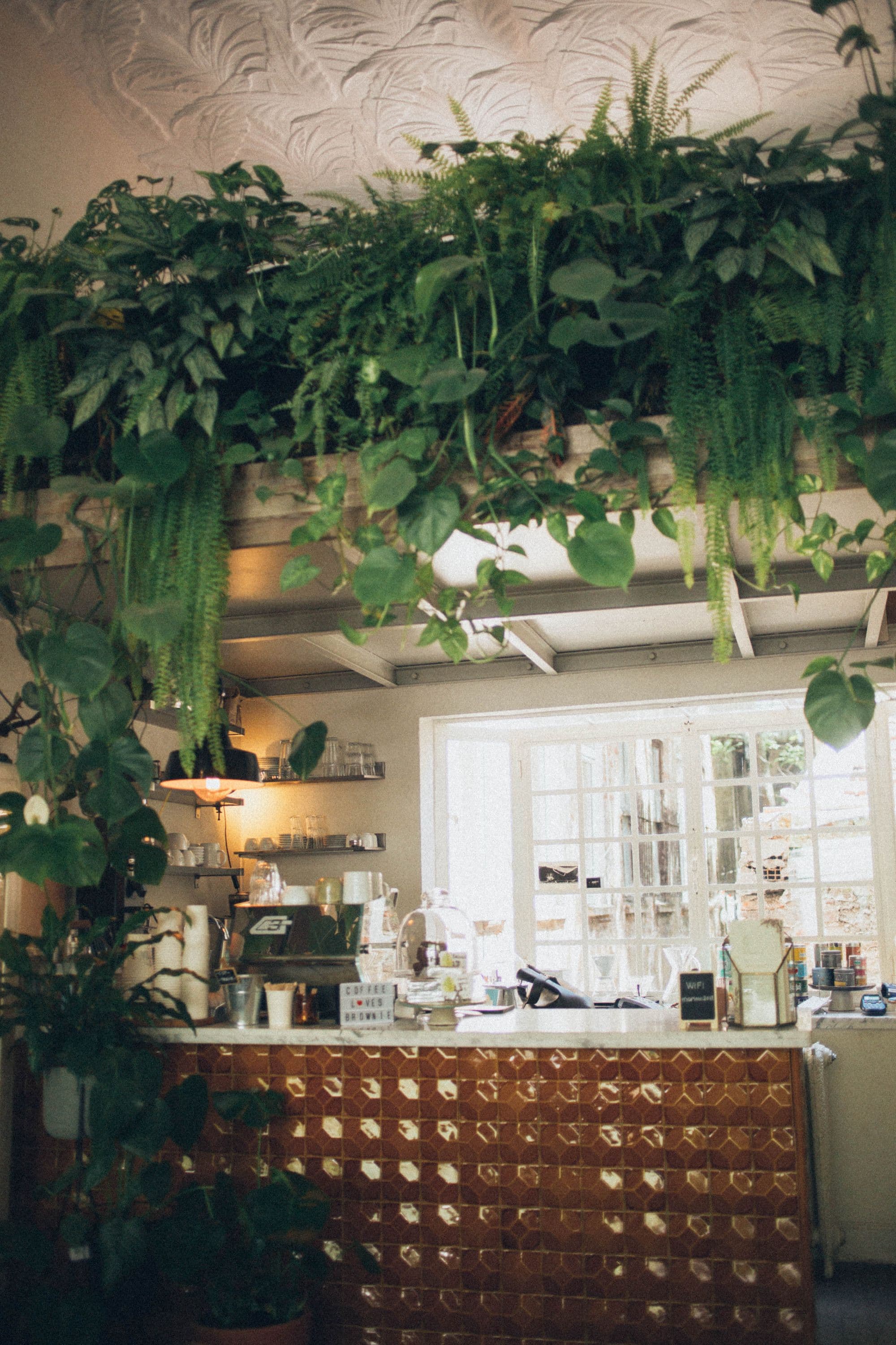 A café room filled with plants and warm natural light