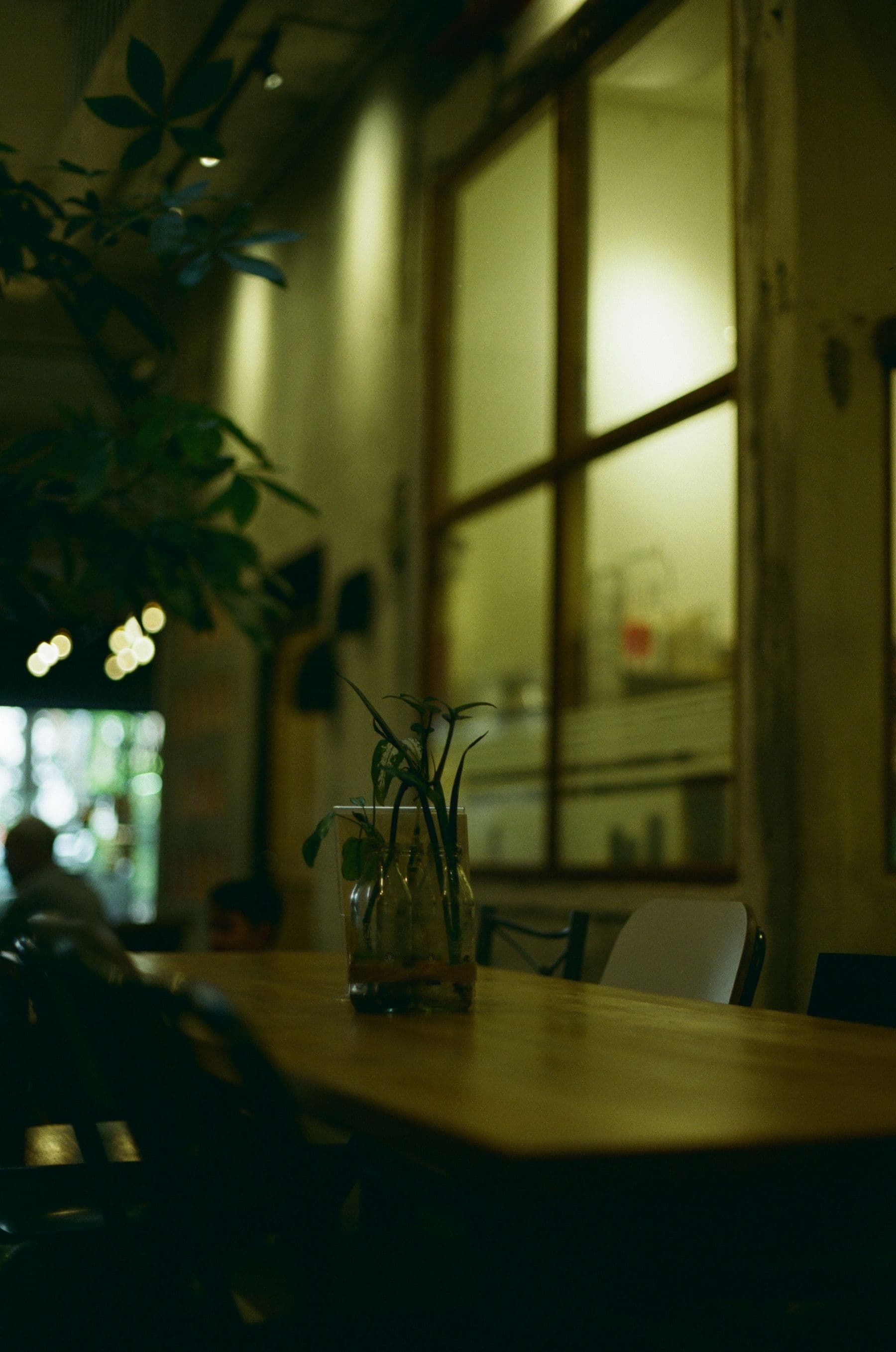 A warm, softly lit café corner with rustic timber and low lamps