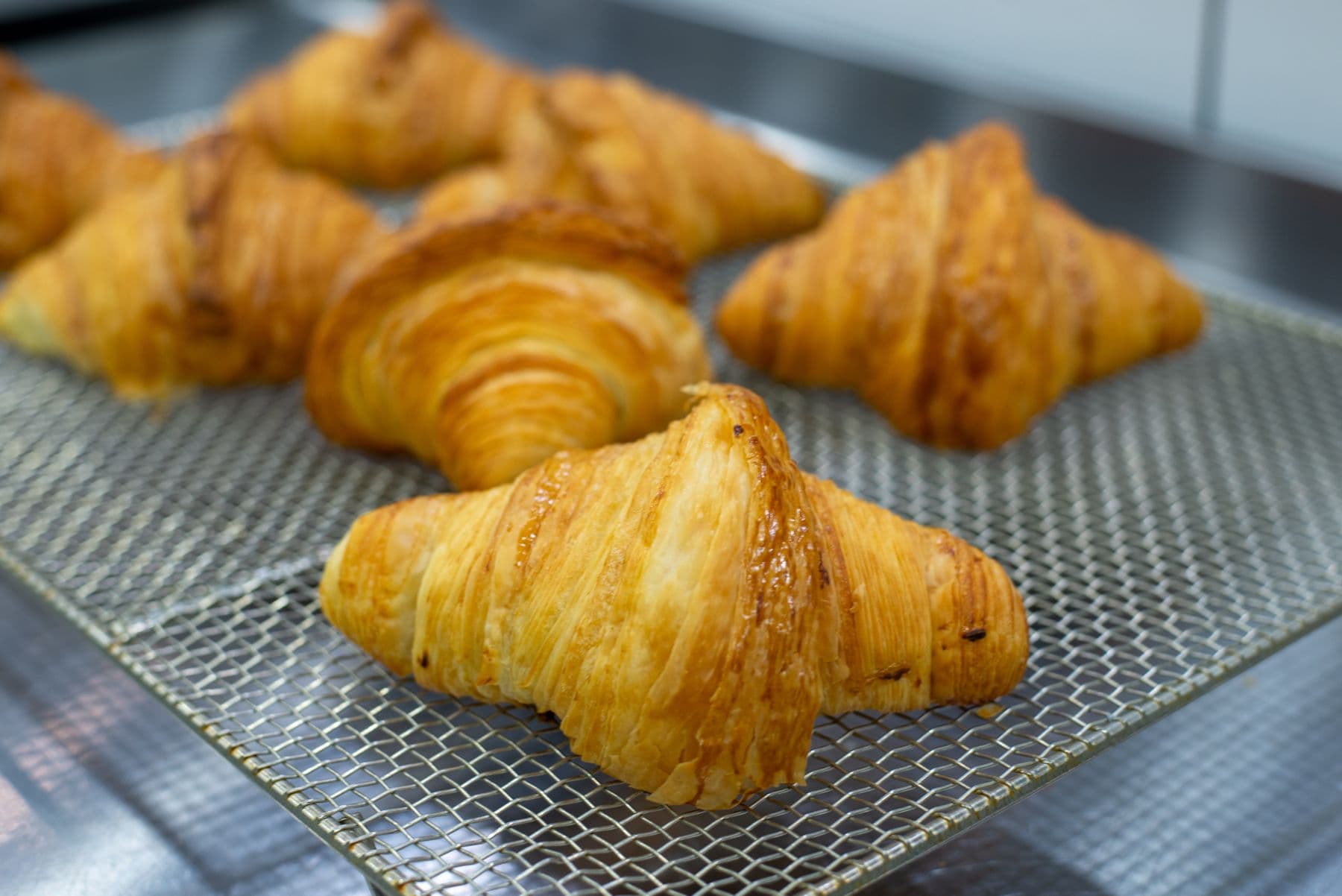 Croissants cooling on a wire rack, golden and lacquered